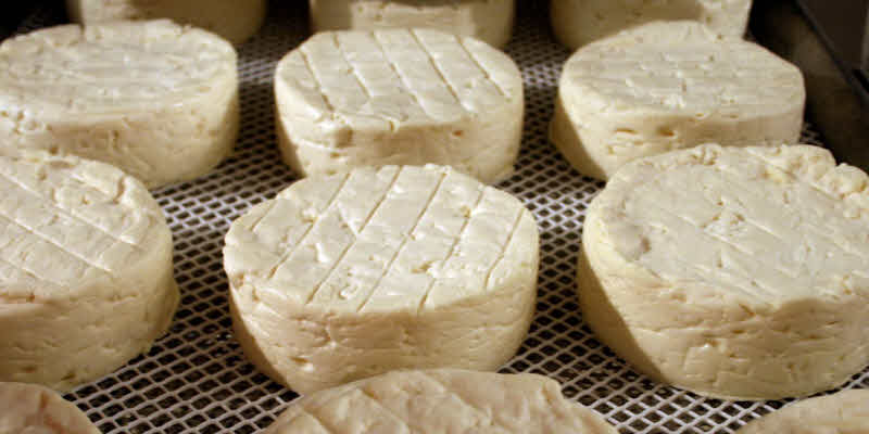 ¿Por qué es importante la lipólisis en la maduración del queso?