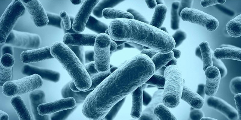 Fórmula probiótica de tres cepas beneficia el síndrome del intestino irritable