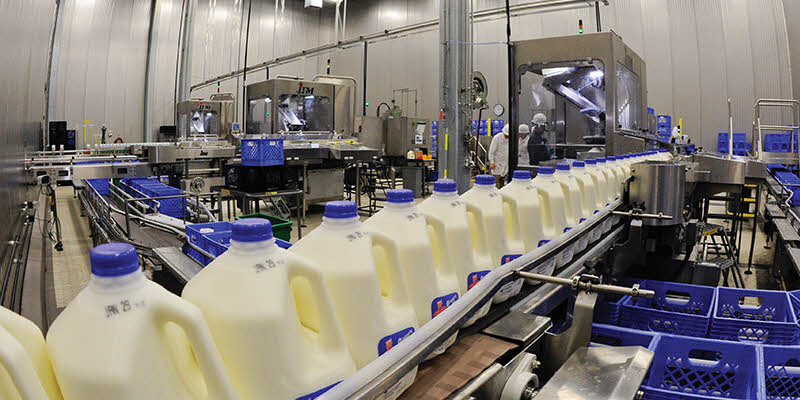 Proceso productivo de la leche #5 Etapas Más Importantes