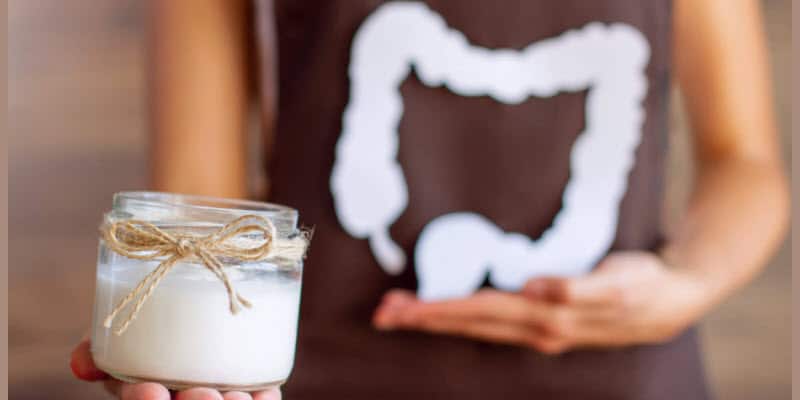 Productos lácteos fermentados y su influencia en la composición de la microbiota intestinal