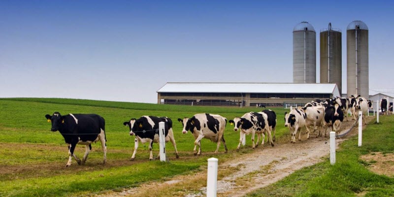 Impacto ambiental de la industria láctea