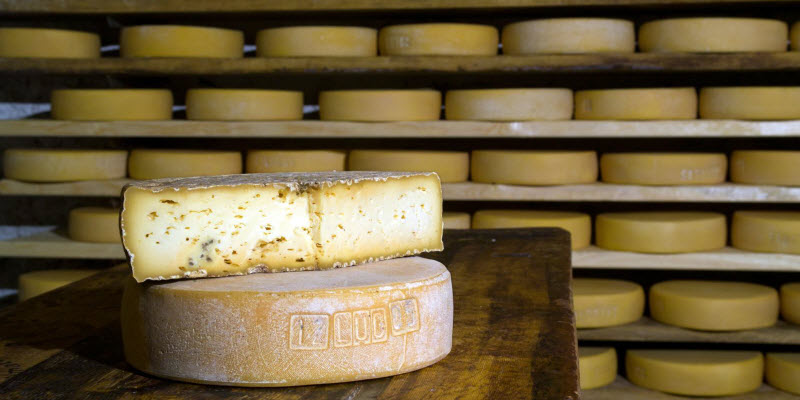 Proceso de maduración del queso: microbiota del entorno