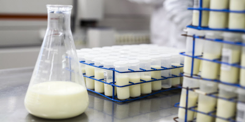 Antimicrobianos para mejorar la calidad y seguridad de lácteos